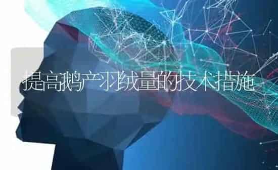 提高鹅产羽绒量的技术措施 | 家禽养殖