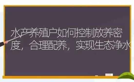 水产养殖户如何控制放养密度，合理配养，实现生态净水 | 动物养殖百科