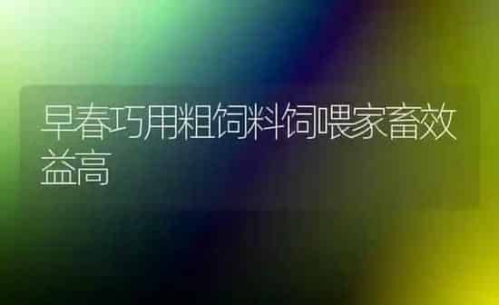早春巧用粗饲料饲喂家畜效益高 | 动物养殖饲料
