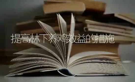 提高林下养鸡效益的措施 | 家禽养殖