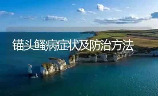 锚头鳋病症状及防治方法 | 养殖病虫害防治