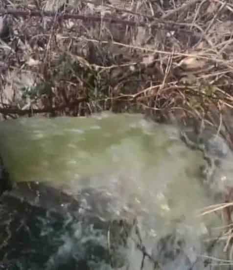 从效果看水产养殖低温肥水