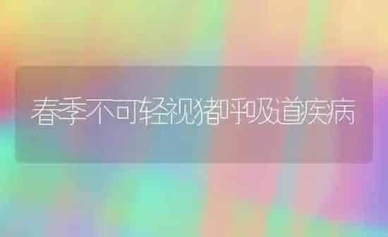 春季不可轻视猪呼吸道疾病 | 家畜养殖
