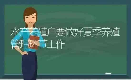 水产养殖户要做好夏季养殖管理环节工作 | 动物养殖百科
