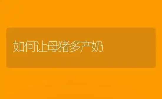 如何让母猪多产奶 | 家畜养殖