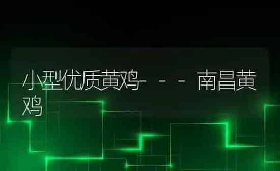 小型优质黄鸡---南昌黄鸡 | 家禽养殖