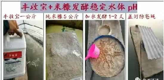 秋季南美白对虾养殖须防白斑病