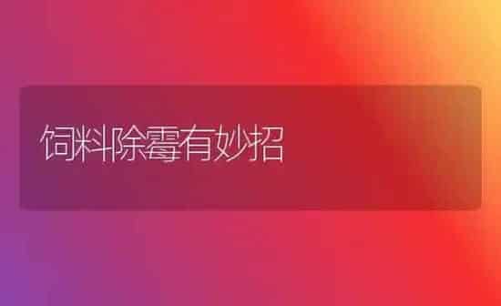 饲料除霉有妙招 | 动物养殖饲料
