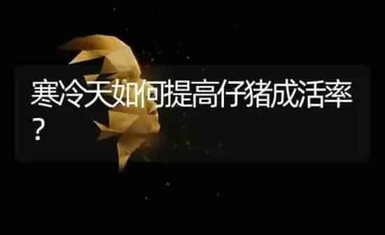 寒冷天如何提高仔猪成活率？ | 家畜养殖