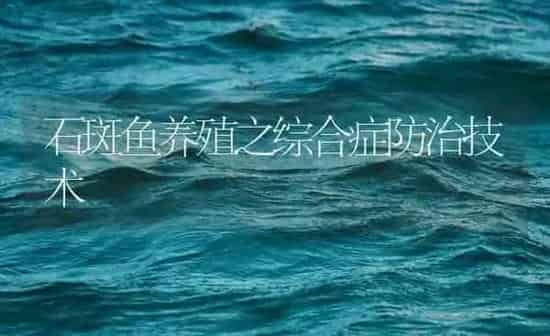 石斑鱼养殖之综合症防治技术 | 海水养殖