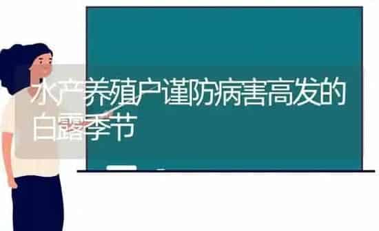 水产养殖户谨防病害高发的白露季节 | 动物养殖百科