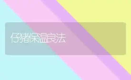 仔猪保温良法 | 家畜养殖
