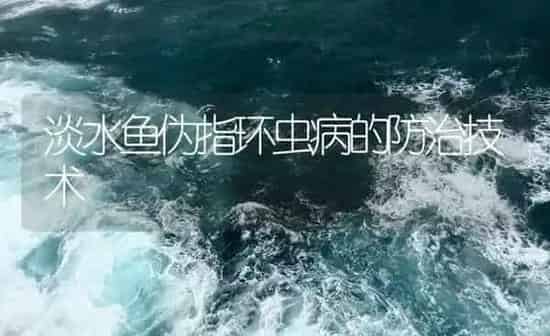 淡水鱼伪指环虫病的防治技术 | 养殖病虫害防治