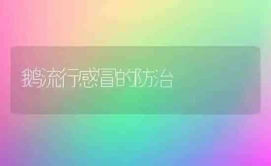 鹅流行感冒的防治 | 家禽养殖