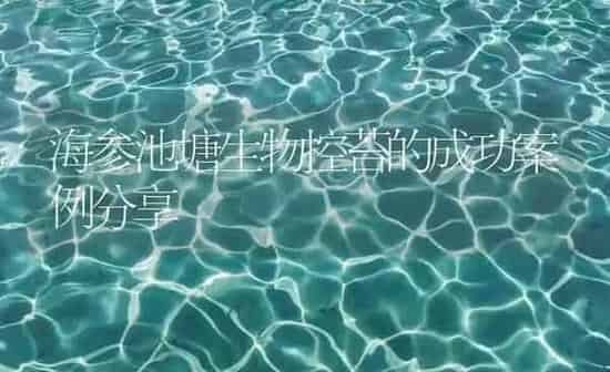 海参池塘生物控苔的成功案例分享 | 海水养殖