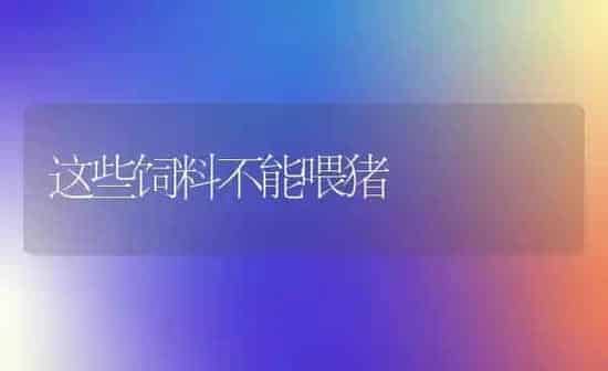 这些饲料不能喂猪 | 家畜养殖