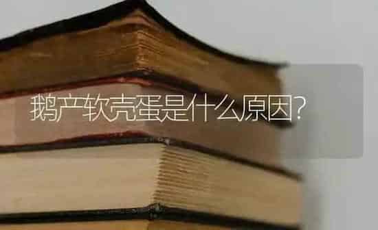 鹅产软壳蛋是什么原因？ | 家禽养殖