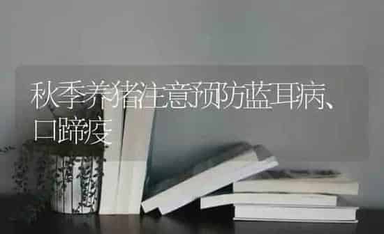 秋季养猪注意预防蓝耳病、口蹄疫 | 家畜养殖