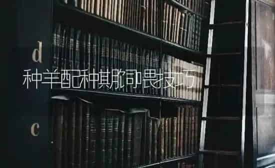 种羊配种期饲喂技巧 | 家畜养殖