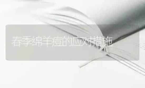 春季绵羊痘的应对措施 | 家畜养殖