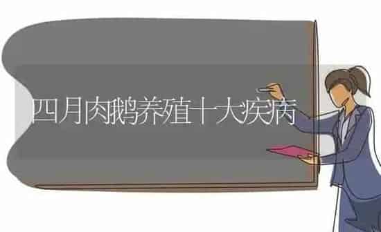 四月肉鹅养殖十大疾病 | 家禽养殖