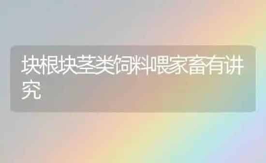 块根块茎类饲料喂家畜有讲究 | 动物养殖饲料