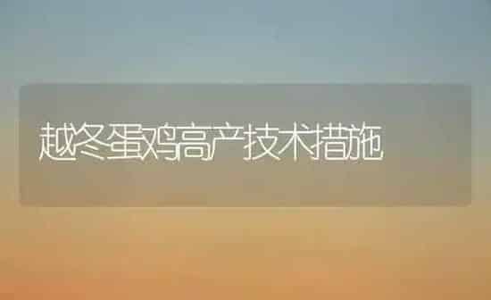 越冬蛋鸡高产技术措施 | 家禽养殖