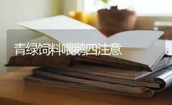 青绿饲料喂鹅四注意 | 家禽养殖