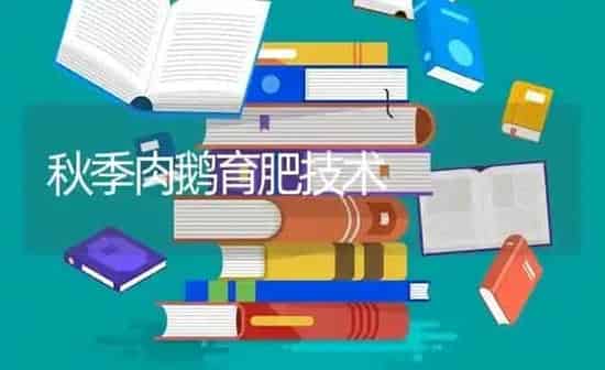 秋季肉鹅育肥技术 | 家禽养殖