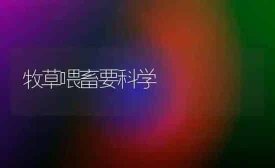 牧草喂畜要科学 | 家畜养殖