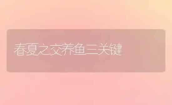 春夏之交养鱼三关键 | 淡水养殖