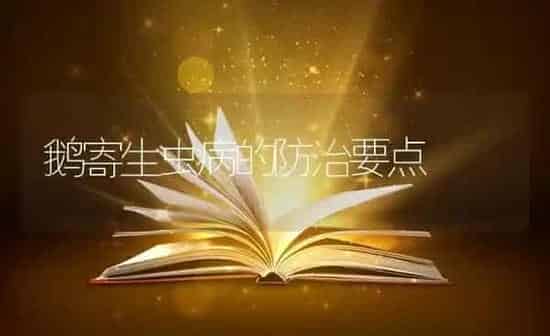 鹅寄生虫病的防治要点 | 家禽养殖