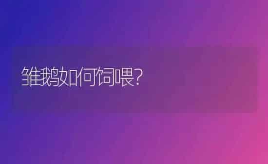 雏鹅如何饲喂？ | 家禽养殖