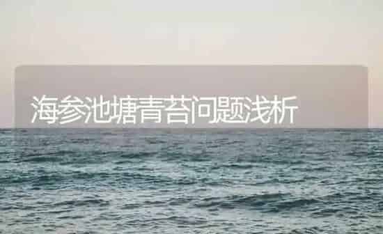 海参池塘青苔问题浅析 | 海水养殖