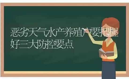 恶劣天气水产养殖户要把握好三大防控要点 | 动物养殖百科
