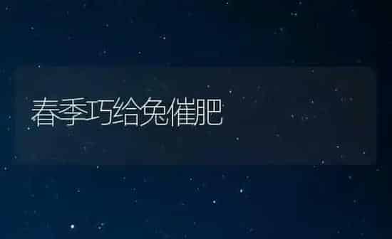春季巧给兔催肥 | 家畜养殖