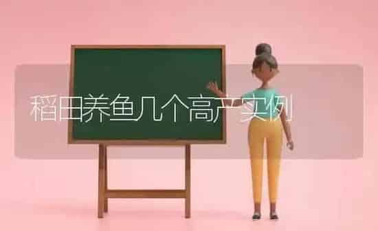 稻田养鱼几个高产实例 | 动物养殖百科