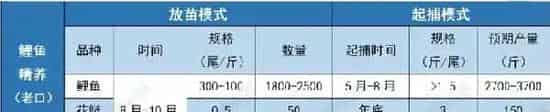 鲤鱼鲫鱼如何高效养殖？模式管理缺一不可！
