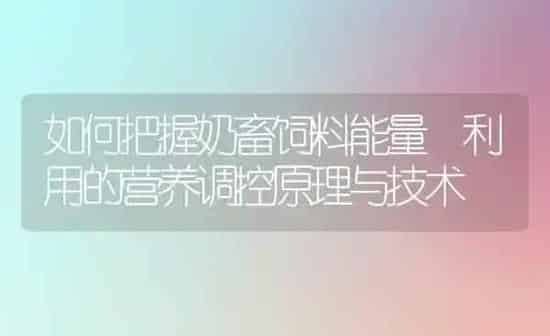如何把握奶畜饲料能量 利用的营养调控原理与技术 | 动物养殖饲料