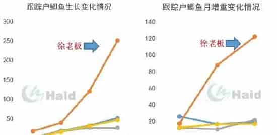 鲤鱼鲫鱼如何高效养殖？模式管理缺一不可！