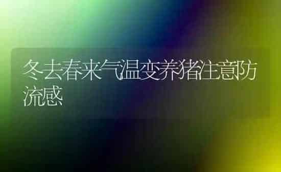 冬去春来气温变养猪注意防流感 | 家畜养殖