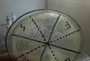 华中农业大学陈昌福教授：科学用药，养殖增效