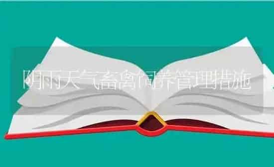 阴雨天气畜禽饲养管理措施 | 家禽养殖