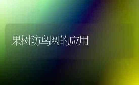 不可同时使用的饲料添加剂 | 动物养殖饲料