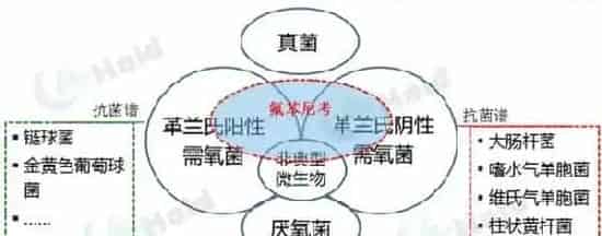 氟苯尼考，是狠药？不到万不得已不用？你的误解大了！