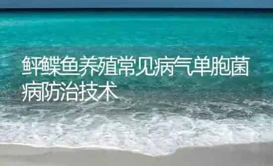 鲆鲽鱼养殖常见病气单胞菌病防治技术 | 海水养殖
