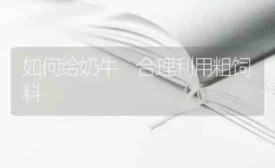 如何给奶牛 合理利用粗饲料 | 动物养殖饲料