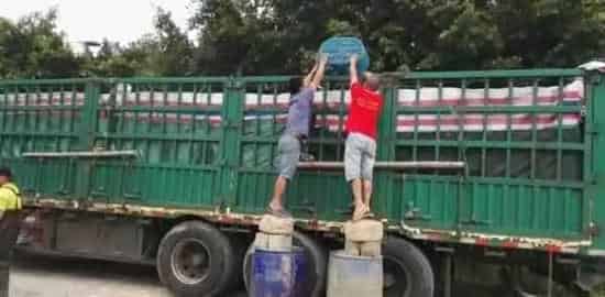 应激宝助生鱼出鱼没烦恼，再不用为“白身”发愁了