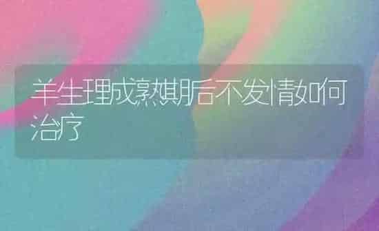 羊生理成熟期后不发情如何治疗 | 家畜养殖