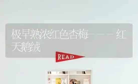 极早熟浓红色杏梅---红天鹅绒 | 家禽养殖